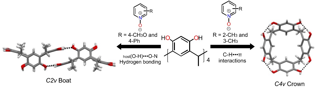 TOC_CEC_Conformation