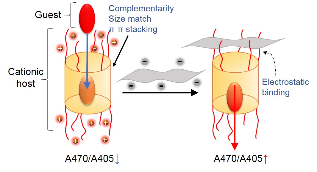 TOC_Nanoscale
