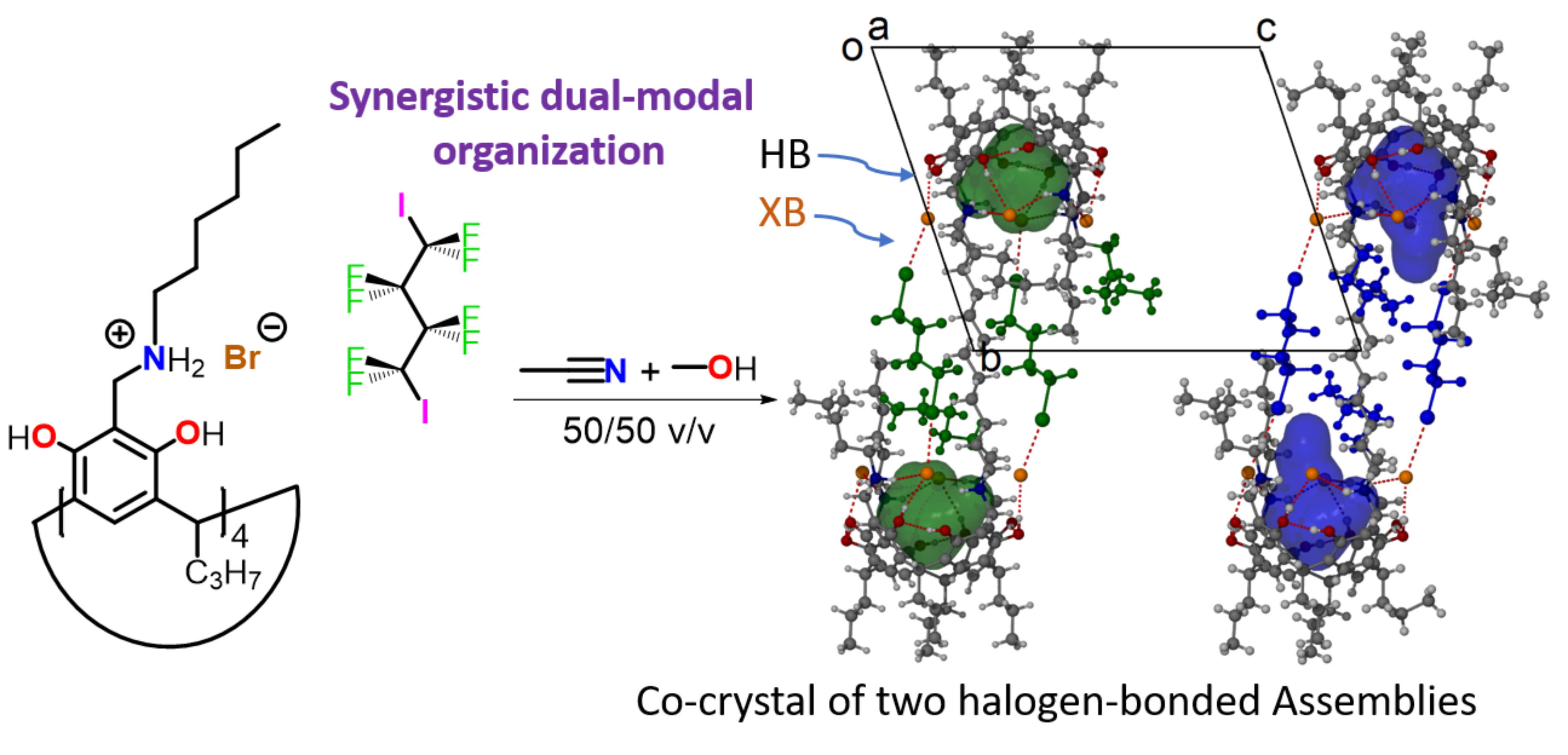 Graphical abstract_Revised