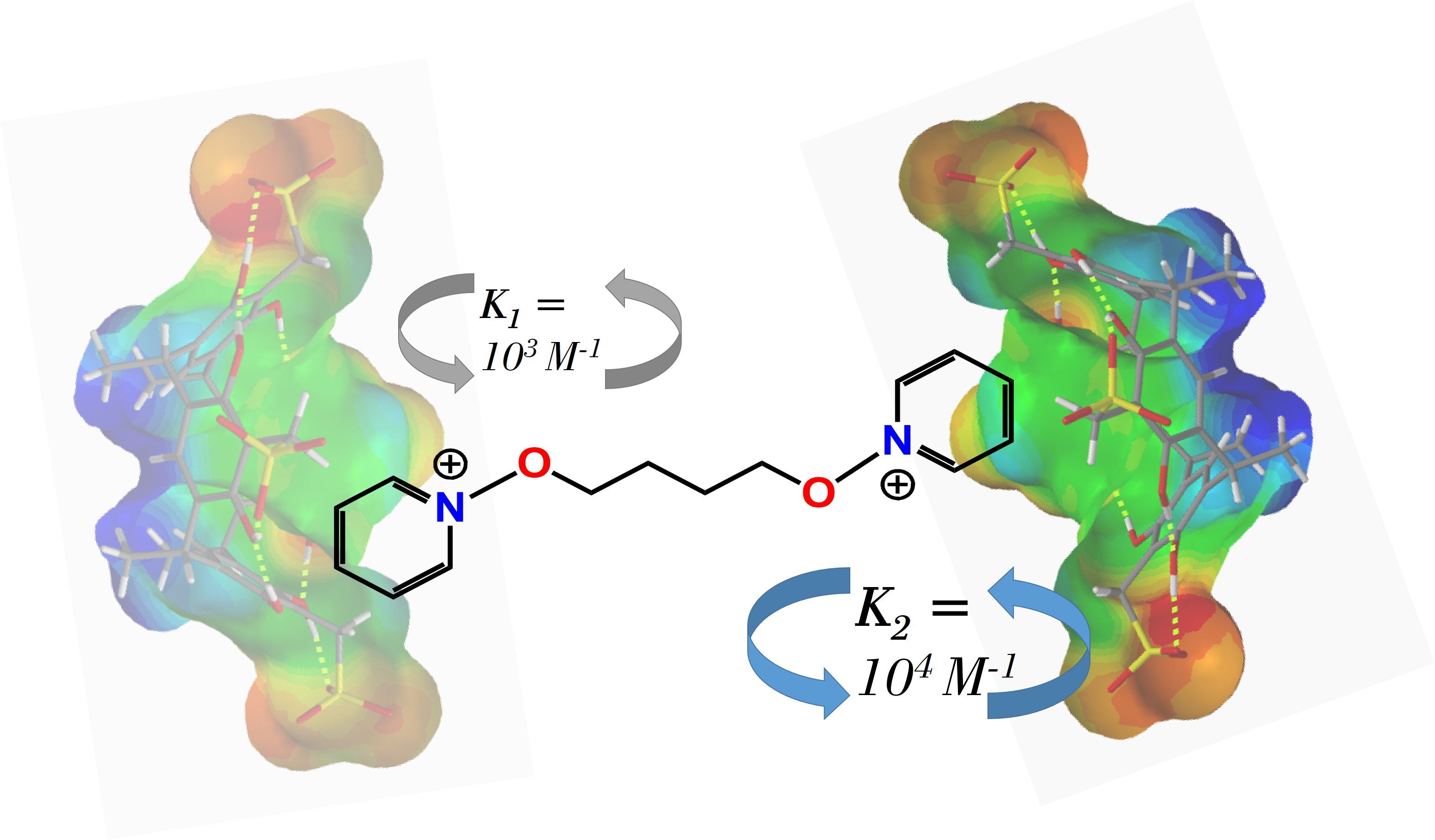 Graphical Abstract_02